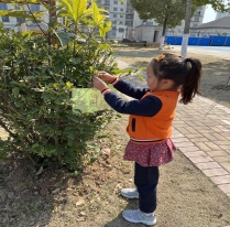 C:\Users\95757\Desktop\800 (1).jpg800 (1)